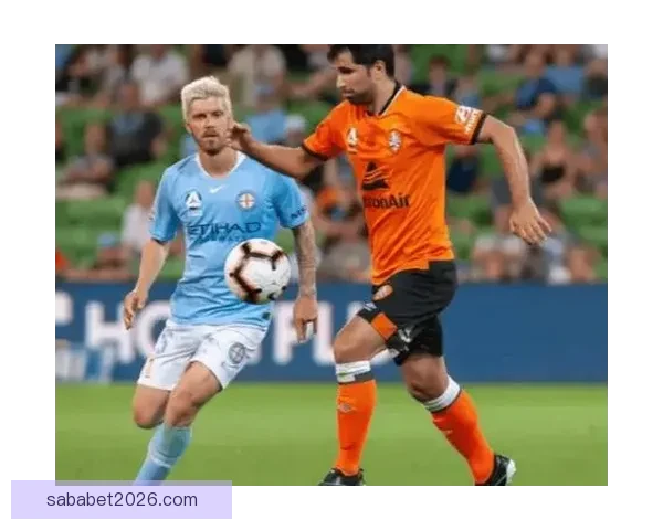 精准分析足球赛事，独家比分预测助你轻松赢取胜利