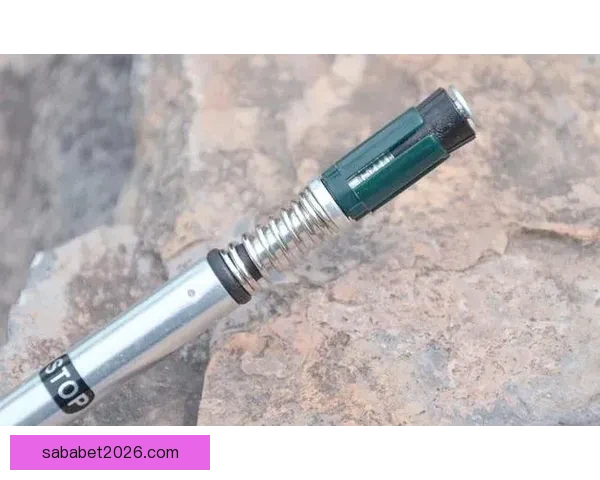世界杯足球竞猜盘口深度解析与投注技巧全面指南